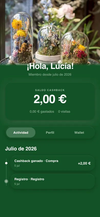 vista del saldo y su detalle en el perfil del cliente